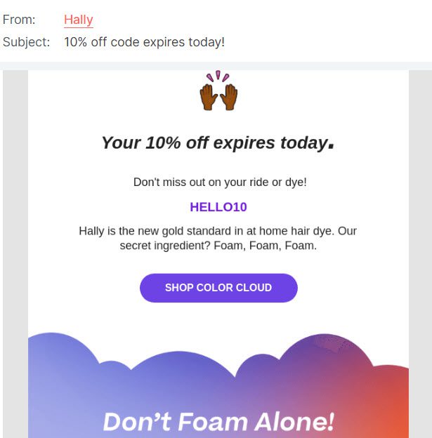 hally coupon code example 